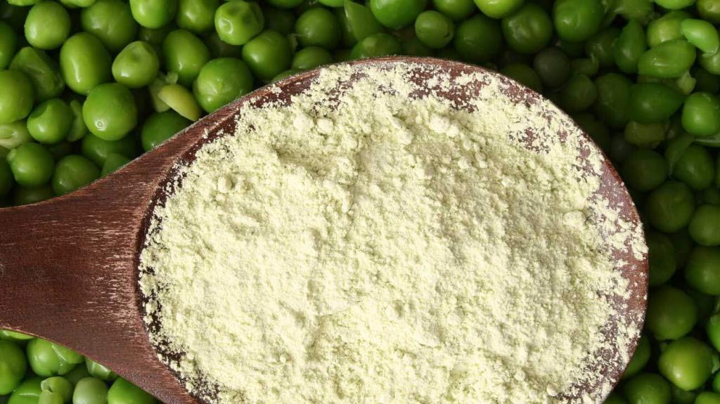 „Pea Protein“ Žirnių Baltymų Izoliatas ‘Iconfit’ (800g) - produkto nuotrauka 2, Baltymai ir |4| Super Sale.