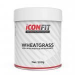 „Wheatgrass“ Kviečių želmenų milteliai Sveikatai ‘Iconfit’ (200g)