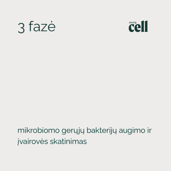 „Young Cell” trijų fazių žarnyno atkūrimo programą - Image 5