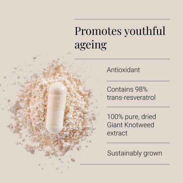 "Resveratrol" Grynas Trans-Resveratrolis 98% 'KIKI Health' (60kaps/60porc) - Image 3