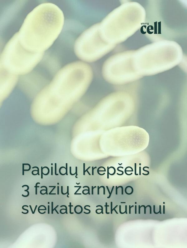 žarnyno-atkūrimo-programą