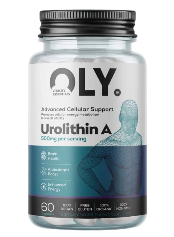 Urolithin A papildas 500mg – OLY, 60 kapsulių, mitochondrijų funkcijai