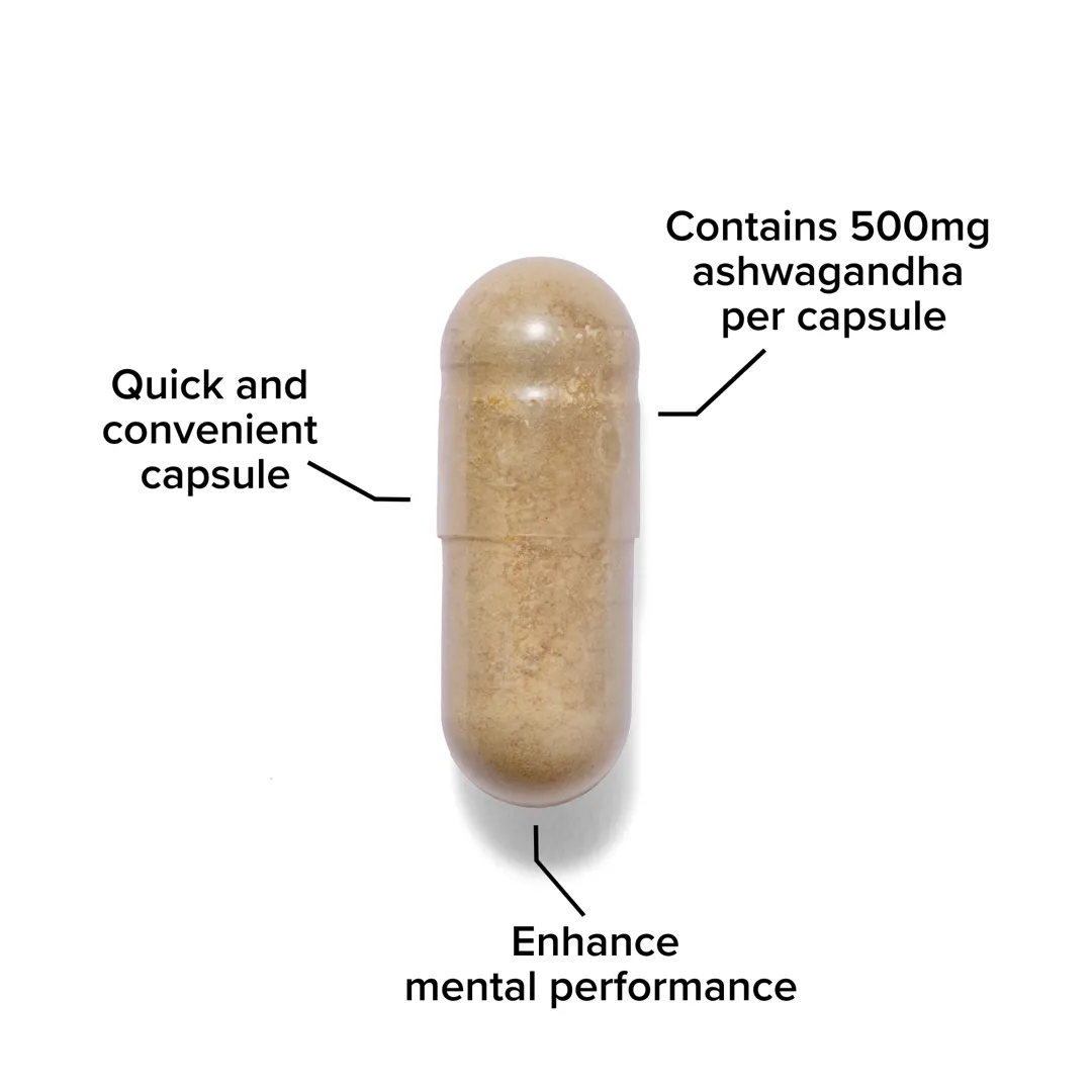 Ashwagandha KSM-66® (500 mg) – stipriausias adaptogenas streso valdymui | Bulk™ - Image 3